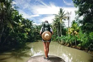 Travel & Tourism - Web Domain Authority