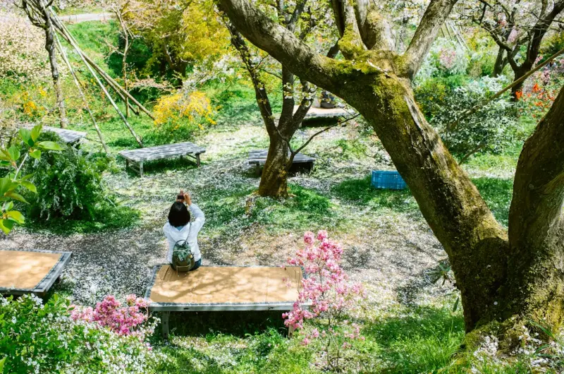 Cultivating a Sensory Garden: A Journey Beyond Aesthetics