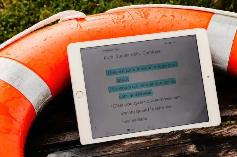 Guarding Your Digital Life: Practical Strategies for Everyday Online Safety