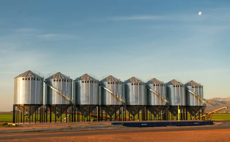 From Silos to Shared Insights: Why Data Mesh Is the Next Business Frontier