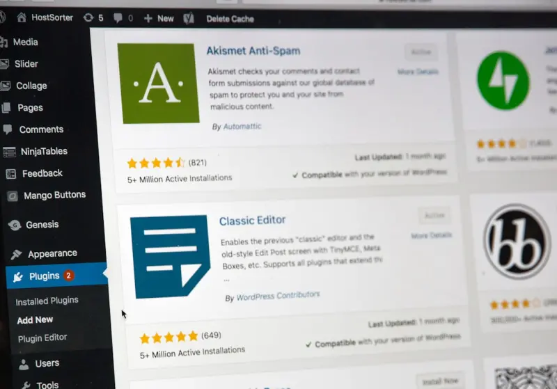 Unlocking Hidden ROI: How Niche Plugins Supercharge Your Site