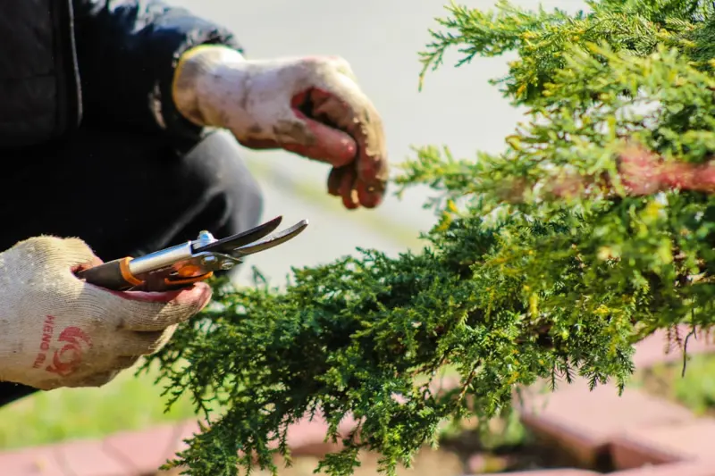 Tool Hygiene: Auditing, Pruning, and Supercharging Your SaaS Stack