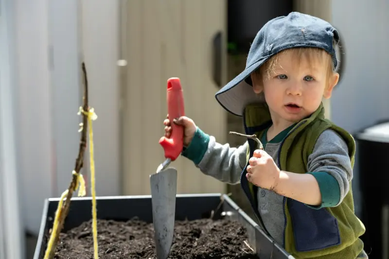 From Seed to Sensor: Building a Garden That Talks Back - Web Domain Authority