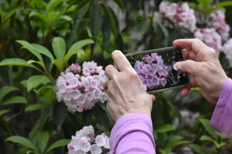 How Seniors Are Crafting Digital Memory Gardens to Keep Family Stories Alive