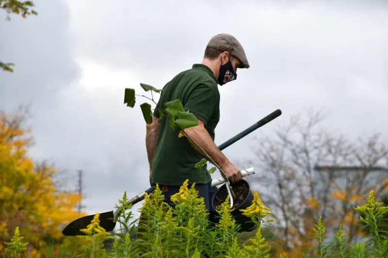How Data-Driven Gardening is Transforming Small Urban Spaces