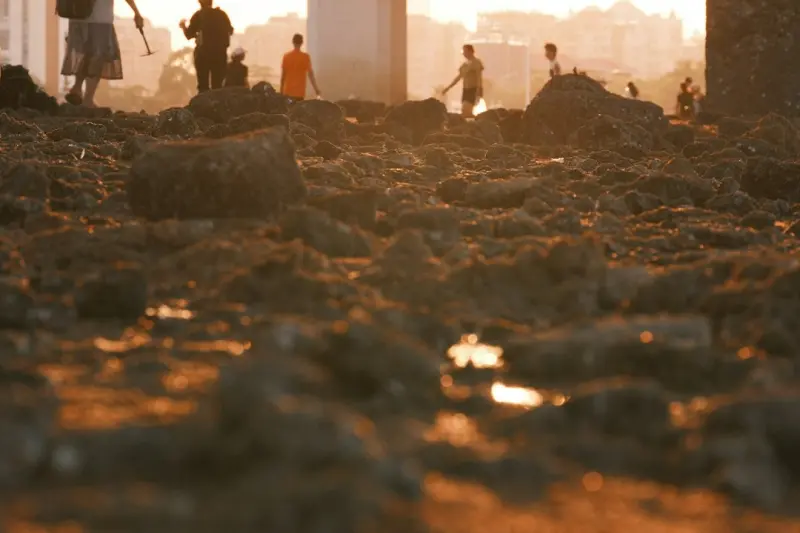 Listening to Soil: A Fresh Narrative for Urban Gardens