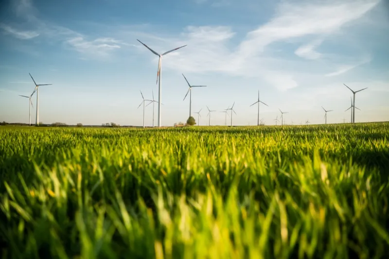 Green Living After Retirement: A Sustainable Journey
