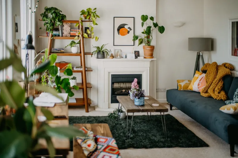The Evolution of Sustainable Home Decor: A Greener Tomorrow