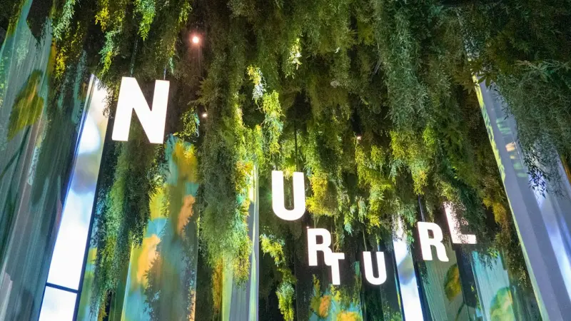 Nature‑Infused Living: How Biophilic Design Transforms Small Urban Homes
