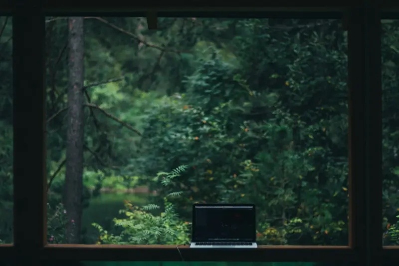 Forest Bathing for Remote Workers: Boosting Creativity in the Great Outdoors