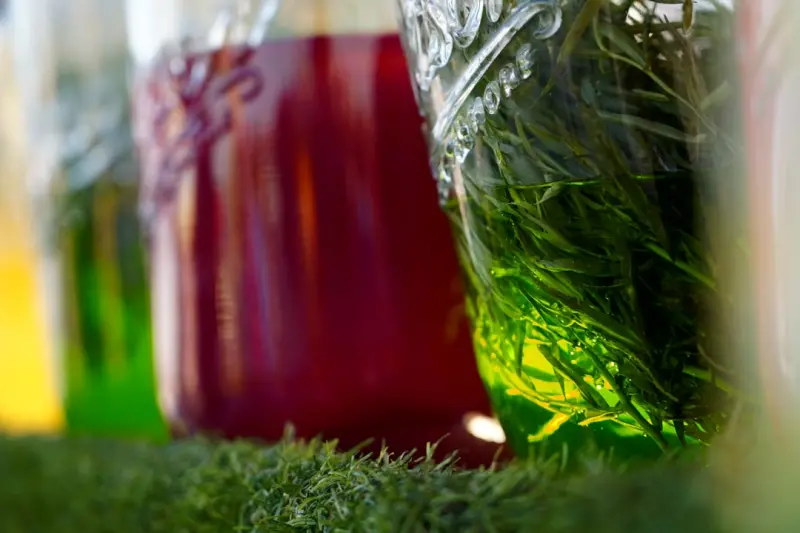 From Fermentation to Flavor Science: Fresh Ways to Reinvent Everyday Cooking