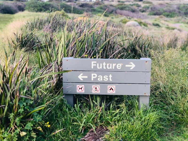 The Future of Technology: How Sustainable Practices are Revolutionizing the Industry
