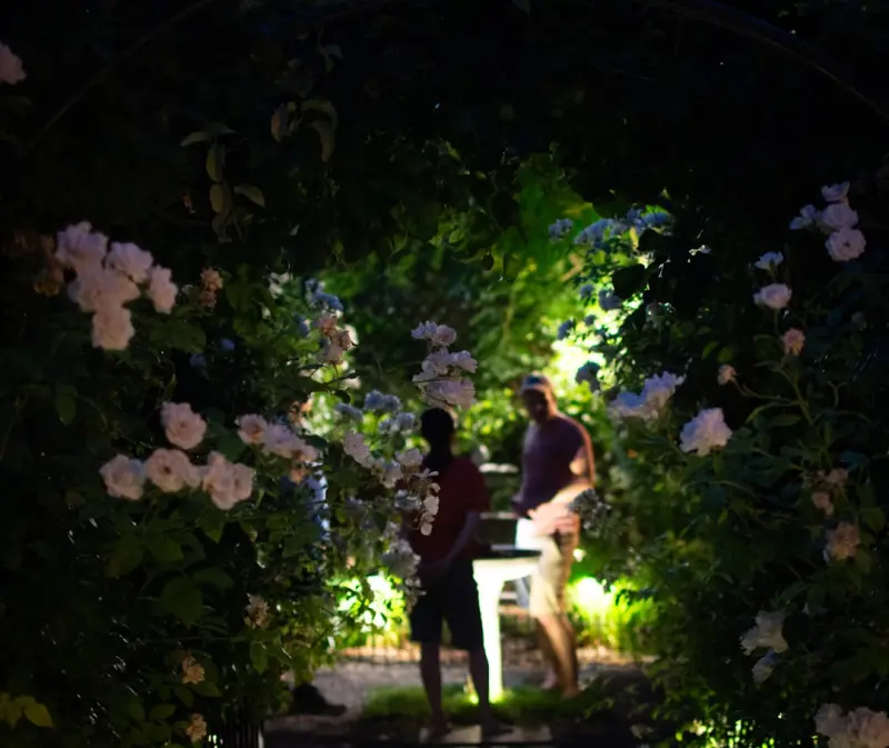 When the Moon Blooms: Crafting a Nighttime Garden That Thrives After Dark