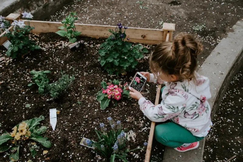 Cultivating a City‑Scale Sensory Garden: A Personal Journey