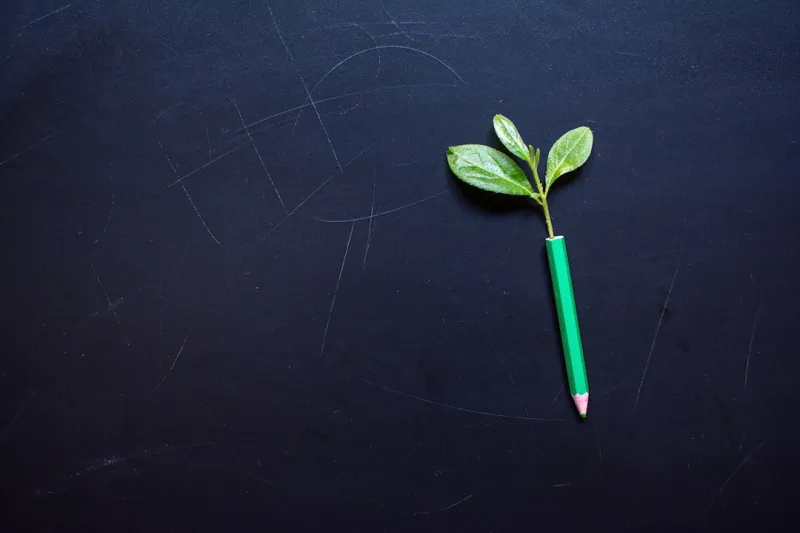 Education for a Sustainable Future: Why Eco-Friendly Practices Matter in Schools