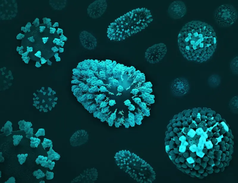 Personalized Immune Resilience with At‑Home Microbiome Testing
