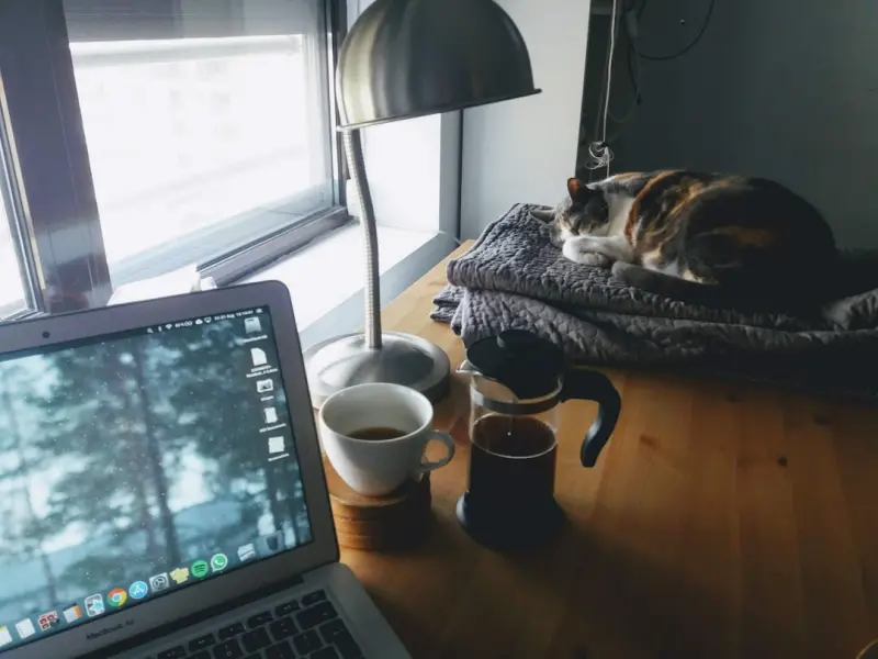 How a Pet‑Centric Morning Routine Supercharges Your Day