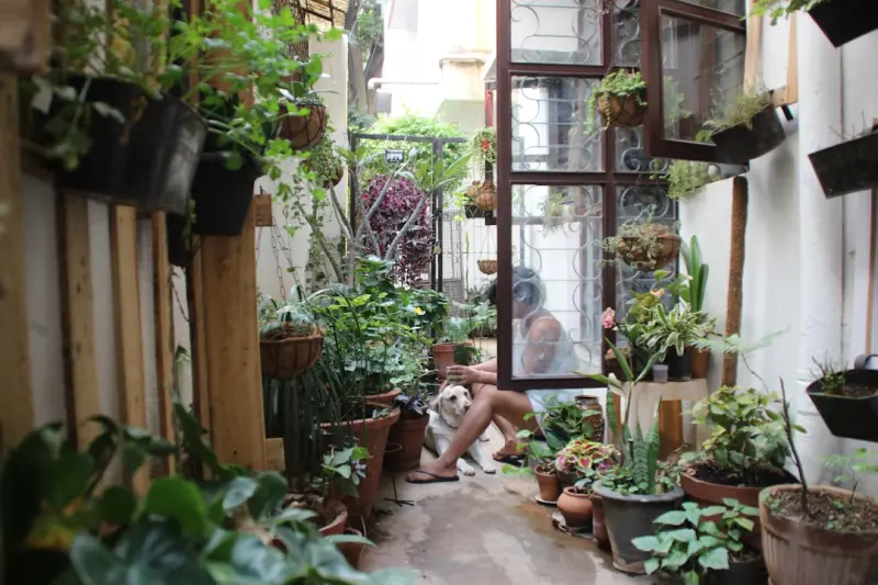 Cultivating a Mini‑Forest on Your Balcony: Urban Greening for Real Life