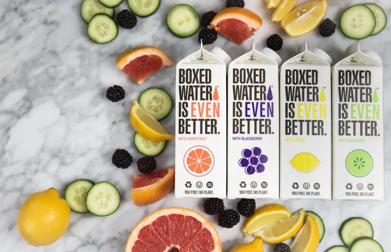Sustainable Flavors: How Modern Foodies Are Redefining the Plate