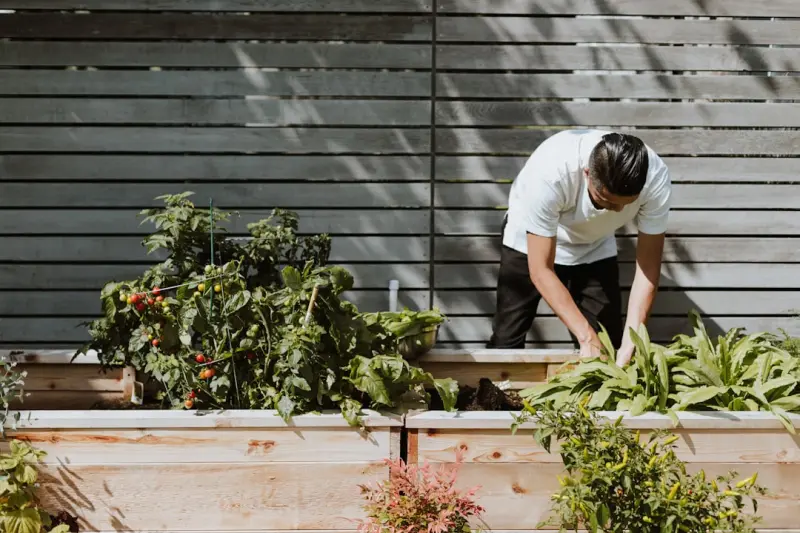 Cultivating a Garden Mindset: How Green Spaces Supercharge Business Creativity