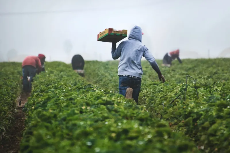 The Sustainable Food Revolution: How Technology is Changing the Way We Eat