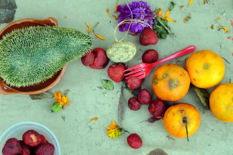 Urban Foraging: Harvesting Nature’s Bounty from City Streets