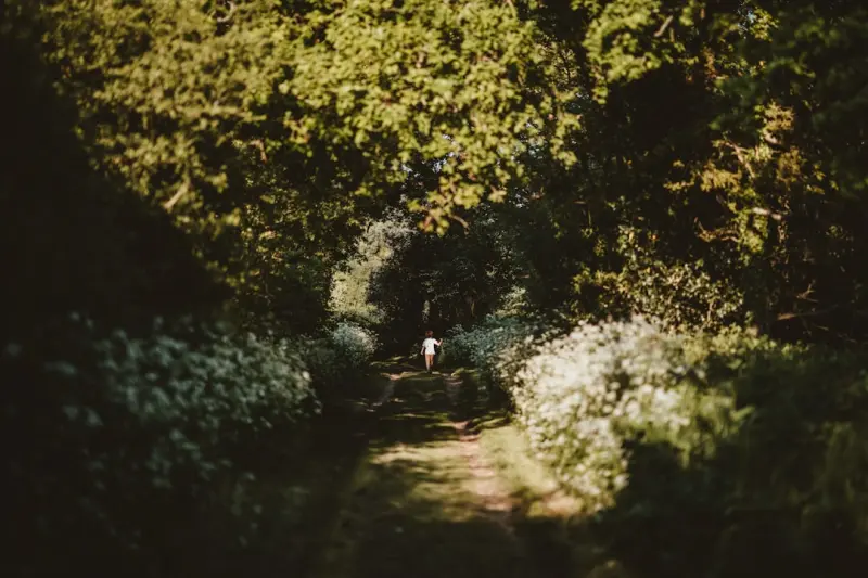 Unleashing the Hidden Life Beneath Your Garden: A Microbiome Masterclass