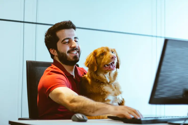 Pet Tech for Remote Workers: Keep Your Companion Engaged and Productive
