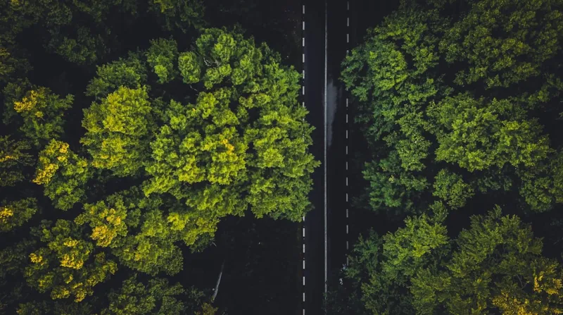 Embracing Sustainability in Your Career: A Path to Long-Term Success