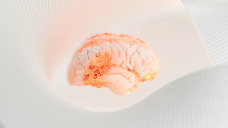 Neuromarketing Unleashed: Turning Brain Signals into Brand Power