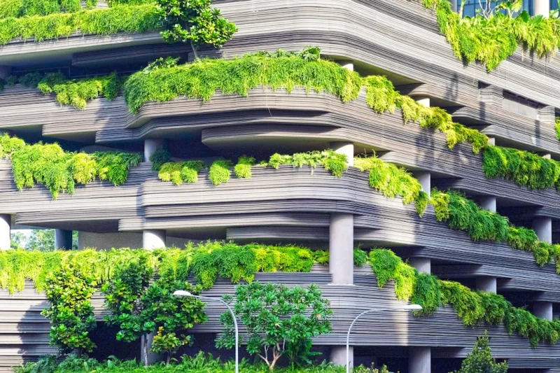 Law Meets Green: How Sustainability is Reshaping Legal Practice in 2024