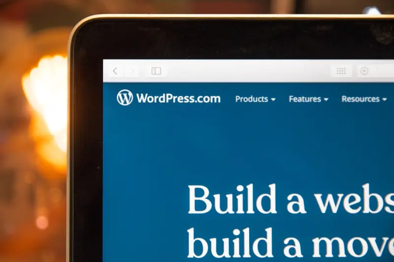 Hidden Gems: Uncovering Niche WordPress Plugins That Supercharge Creativity