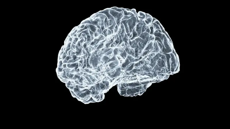 When the Edge Becomes the Brain: Rethinking Network Architecture for Modern SaaS