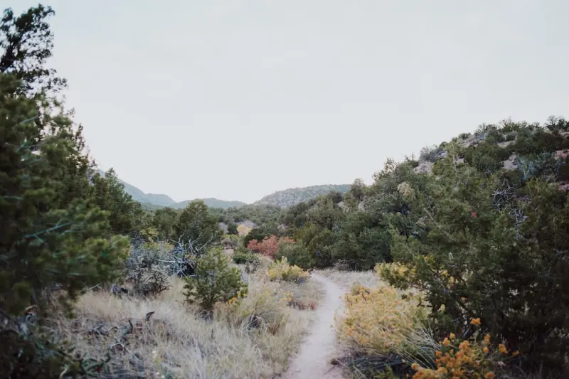 Microadventures: Reimagining the Everyday Landscape for Outdoor Play