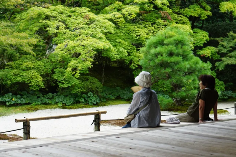 Embracing Green Living in Your Golden Years: A Senior’s Guide to Sustainable Joy