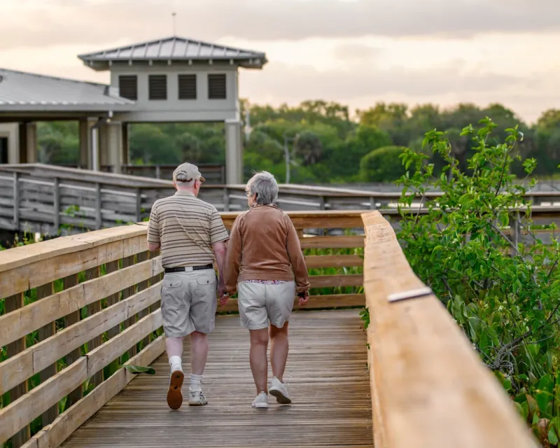 Sustainable Living for Seniors: A Guide to a Greener Future