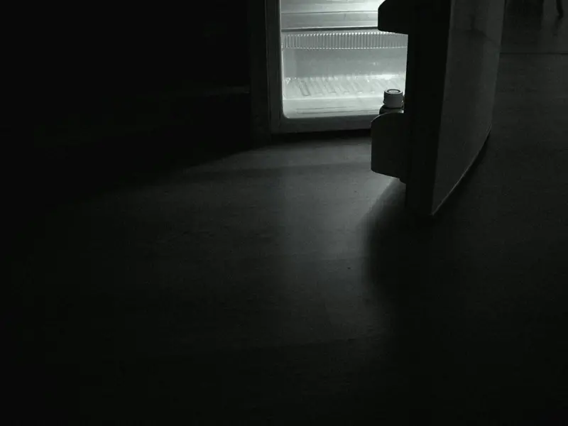 When Your Fridge Starts Talking Back: The Voice‑First Appliance Revolution - Web Domain Authority