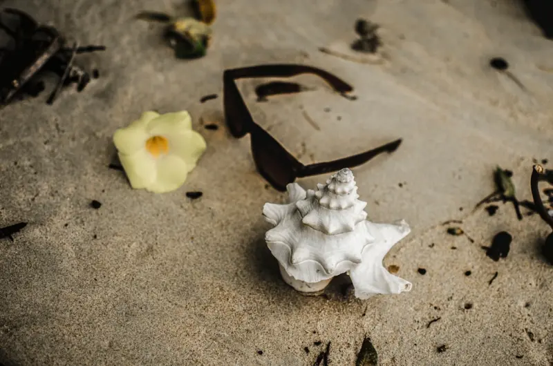 Beyond the Plastic Shell: How Sustainable Design is Shaping the Next Generation of Laptops