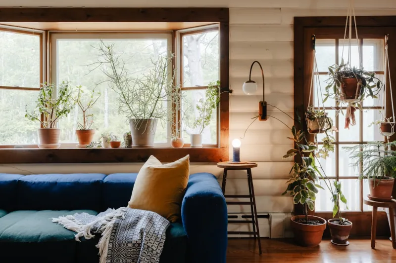 Eco-Friendly Home Makeover on a Budget: A Step-by-Step Guide
