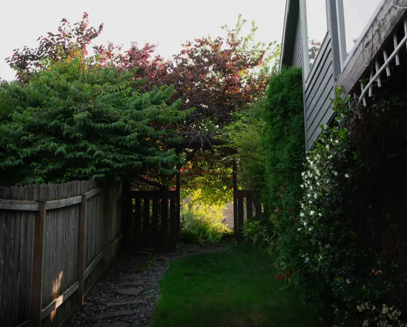 Microadventures: Reclaiming the Outdoors One Backyard at a Time
