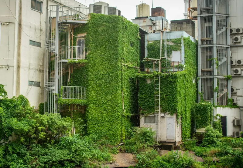 Living Green: How Biophilic Design Turns Home Offices Into Wellness Hubs - Web Domain Authority