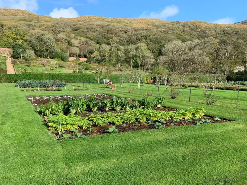 Cultivating a Sensory Garden: A Multisensory Blueprint for Modern Well‑Being