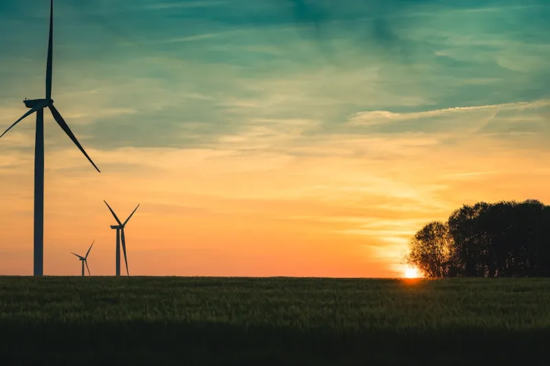 The Evolution of Eco-Friendly Appliances: A Greener Future for Your Home