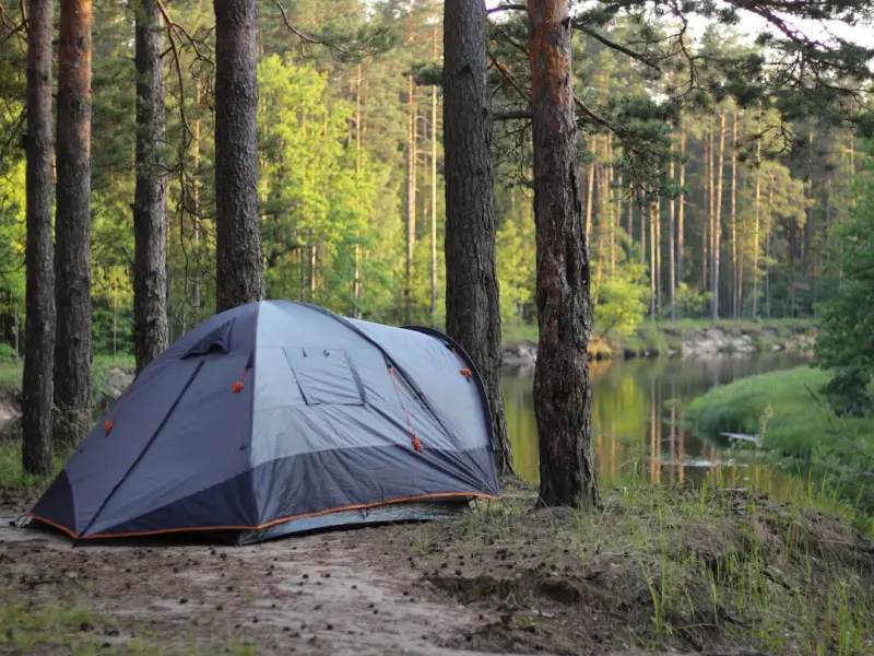 Finding Creative Flow in the Wild: How Outdoor Immersion Sparks Innovation