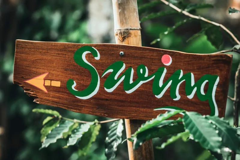 Savoring Sustainability: How Food Trends are Redefining Our Plates