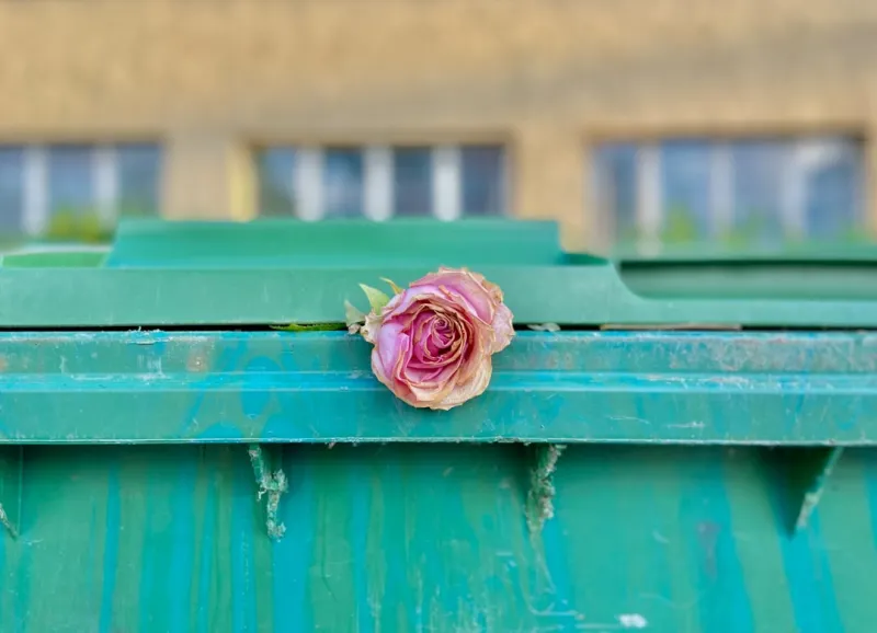 Eco‑Cleaning the Rose DesRochers Way: Sustainable Hacks for a Sparkling Home