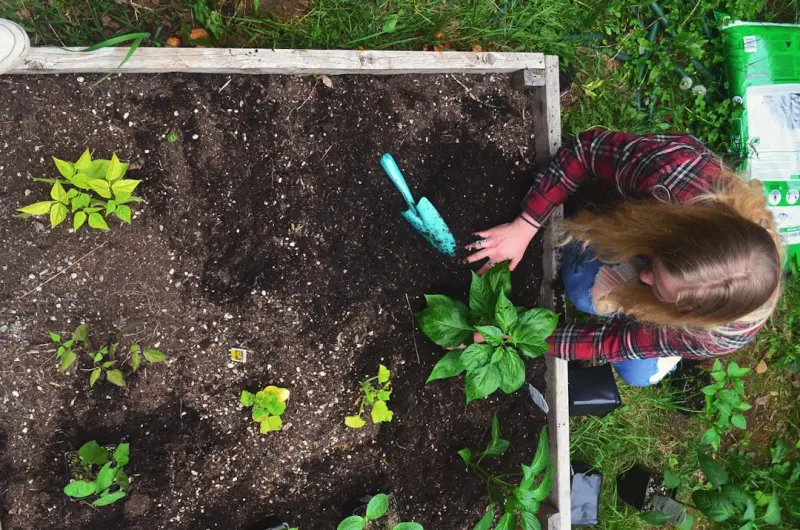Cultivating Calm: How a Backyard Garden Can Reset Your Mind