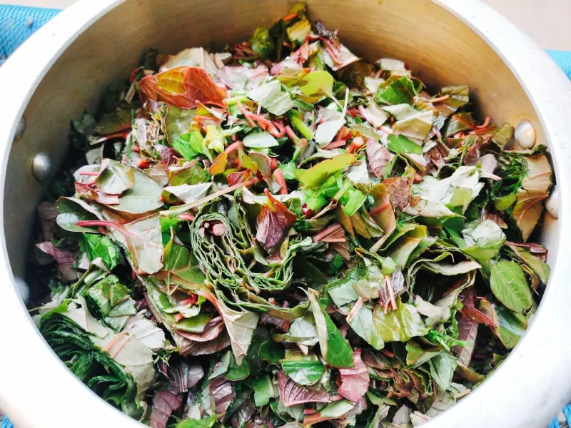 Fermentation at Home: Turning Scraps into Gourmet Gold