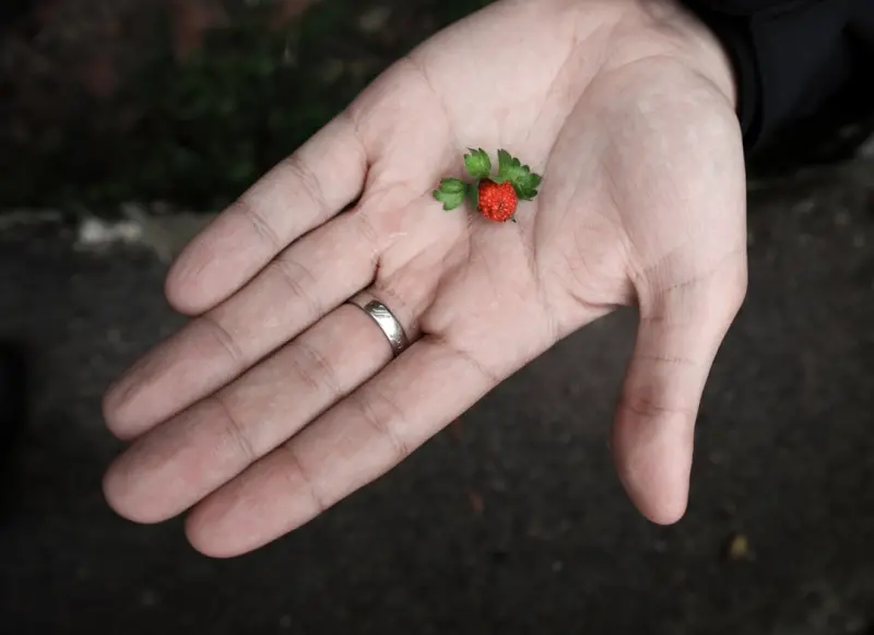 Micro‑Celebrations: Tiny Rituals That Transform Everyday Moments