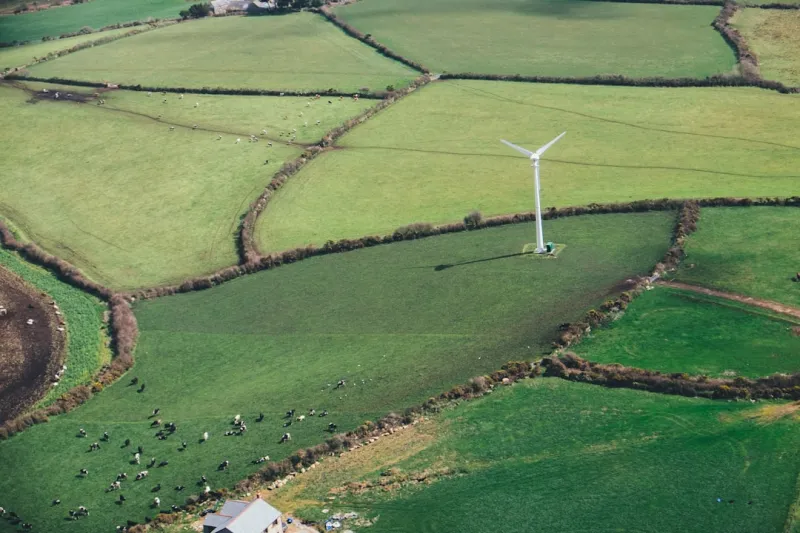From Farm to Fork: How Sustainable Trends Are Transforming My Kitchen